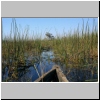 im Okavango-Delta, Botswana
