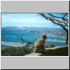 Gibraltar - Affenfelsen: Blick auf Algeciras und die Atlantikbucht