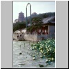 Beijing - Sommerpalast, Lotosbl&auml;tter im Kunming-See, hinten die Pagoda des Dufts und des Buddhas