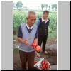 in einem Dorf bei Xi�an - ein Dorfbewohner beim Verkauf der Granatäpfel