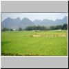 d&ouml;rfliche Landschaft bei Yangshuo - Reisfelder und Karstberge