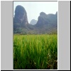 d&ouml;rfliche Landschaft bei Yangshuo -  Reisfelder und Karstberge