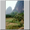 d&ouml;rfliche Landschaft bei Yangshuo -  vorne Kaki-Fr&uuml;chte auf einem Baum