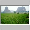 d&ouml;rfliche Landschaft bei Yangshuo -  Reisfelder und Karstberge