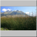 Vulkan Imbabura und Schilf an der Laguna San Pablo