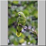 in der Lodge am Rio Misahualli