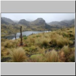 typische Landschaft im El Cajas Nationalpark