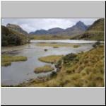 typische Landschaft im El Cajas Nationalpark
