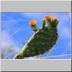 in der Umgebung von Vilcabamba