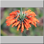 in der Umgebung von Vilcabamba