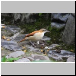 in der Umgebung von Vilcabamba