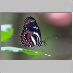 in der Umgebung von Vilcabamba