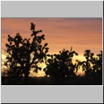 in der Charles Darwin Station in Pto. Ayora auf der Galapagosinsel Santa Cruz