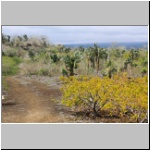 Galapagos - Landschaft im Süden der Insel Isabela (bei der Mauer der Tränen)
