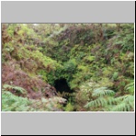 Galapagos - zugewachsene Krateröffnung eines kleinen Vulkans  im Süden der Insel Isabela