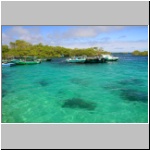 Galapagos - in der Bucht vor Pto. Villamil im Süden der Insel Isabela