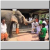 Srirangam - ein segnender Elefant im Tempel in der Nähe der Bestattungsstelle