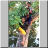 in den Backwaters - am Ufer spielende Kinder