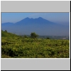 Vulkan Salak und Teeplantagen