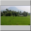 Landschaft an der Bahnstrecke Bandung - Yogyakarta