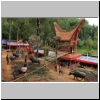 Aufbau mit dem Sarg der Verstorbenen auf dem Zeremonienplatz für die Wasserbüffelschlachtung, Tana Toraja, Sulawesi