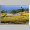 Toraja-Land - während der Wanderung in der Gegend von Batutumongga