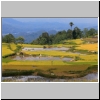 Toraja-Land - w&auml;hrend der Wanderung in der Gegend von Batutumongga