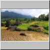 Toraja-Land - w&auml;hrend der Wanderung in der Gegend von Batutumongga