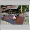 im Osten des Toraja-Landes - Trocknen der Gewürznelken