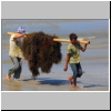 an der Küste des Javasees - Fischer holen Algen (?) aus dem Meer