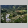 Reisfelder bei Besakih, Bali