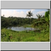 Wanderung in der N&auml;he von Bebandem, Bali