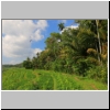 Wanderung in der N&auml;he von Bebandem, Bali