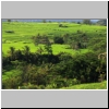 Wanderung in der N&auml;he von Bebandem, Bali