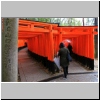 Alleen aus Tausenden von scharlachroten Torii im Fushimi Inari-Taisha Schrein, Kyoto