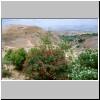 Pella - vorne: Ausgrabungsstätte, hinten: Jordantal und Israel