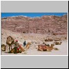 Petra - Blick vom ehem. Stadtzentrum auf die Felswand mit den Königsgräbern, vorne Kamele