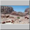 Petra - Blick Richtung Westen auf das ehem. Stadtzentrum und die Felswand im Westen. Hinten in der Bildmitte: Qasr al-Bint (Tempel)