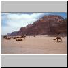 Wadi Rum - Kamelestation im Dorf Rum, im Hintergrund Jebel Um Ishrin