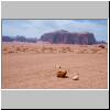 Wadi Rum - ein Lagerplatz in der Wüste, hinten Jebel Khazali