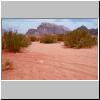 Wadi Rum - Felsformationen, Wüstenvegetation und roter Sand