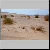 Wadi Araba - Wüstenlandschaft