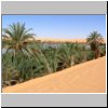 Erg Ubari - Palmen und Sanddünen am El Gabron See