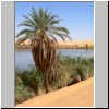 Erg Ubari - Palmen und Sanddünen am El Gabron See