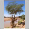 Wadi Mathandous gefüllt mit Wasser (Seltenheit)