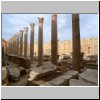 Leptis Magna - Severische Basilika, Säulen