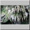 Gunung Mulu Nationalpark - vor der Clearwater Höhle