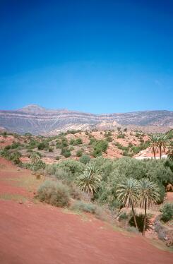 Unterwegs von Marrakech nach Agadir durch den Hohen Atlas