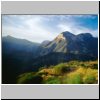 unterwegs durch Sierra Madre vor Oaxaca - Säulenkakteen (vom Bus aus)