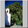 Santa Maria El Tule - 2000 Jahre alte Sabino-Zypresse